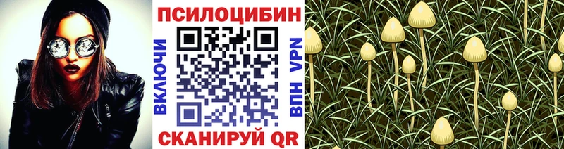 Купить где  Неман  Галлюциногенные грибы прущие грибы 